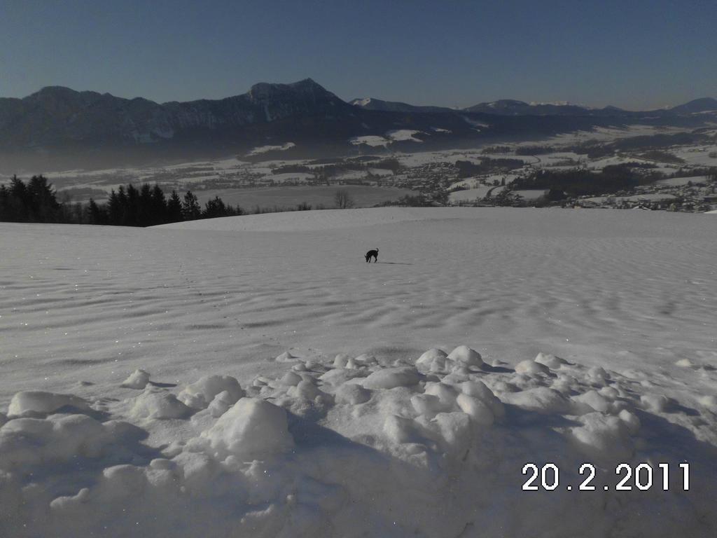 Gesundheitshof Lohninger Villa Mondsee Bagian luar foto